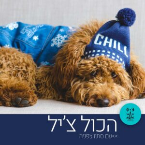 הכול צ'יל - רדיו על הגל