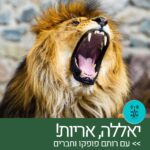 יאללה אריות - עם רותם פופקו וחברים - רדיו על הגל
